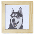 thumbnail image 1 of Cadre Photo Carré pour Mur Ou Table avec Grande Neige Ou Husky, 1 of 3