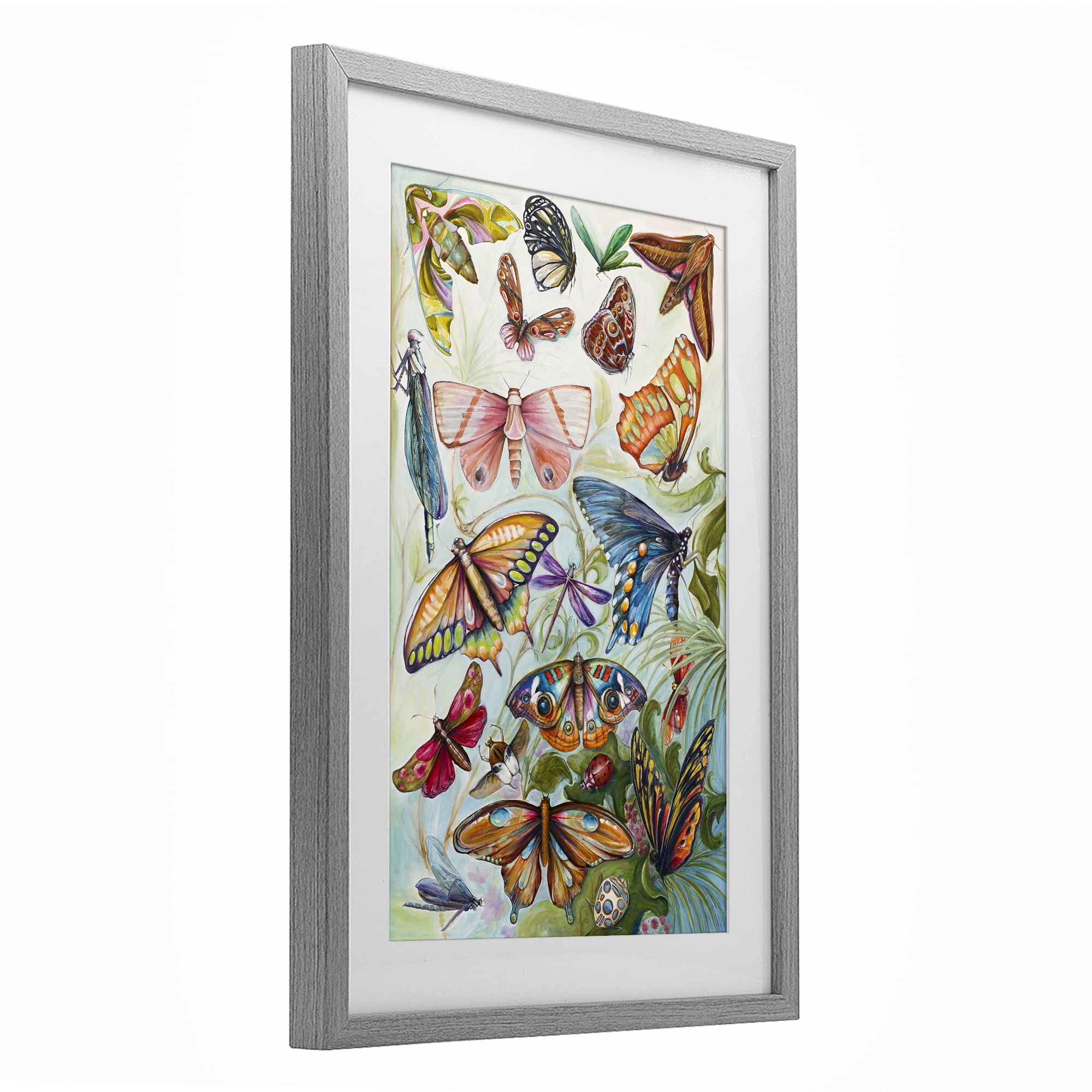 Stupell Industries Colorful Butterfly Conservatory Gray Framed Print Under Glass, design by Diannart