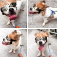 thumbnail image 4 of Dog Goggles Dog Sunglasses Dog Goggles Motorcycle Dog Goggles Waterproof, 4 of 4