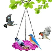 10 inch Glass Bird Feeder Hanging Tray, Bath Bowl, Hummingbird Feeder, Purple