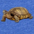 thumbnail image 2 of CafePress - FIN Box Turtle - Cute Infant Baby Football Bodysuit, 2 of 3