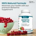 thumbnail image 6 of Hybrid Nutraceuticals Berberine 1200mg - Concentrated Berberine HCl Formula - Immune Support, Digestive Support, Healthy Weight - Gluten Free, 60 Capsules, 6 of 8
