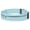 Light blue, variant on Gieenan Running Bag with Reflective Strips Fanny Pack for Running Sports Travel Hiking