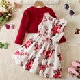 thumbnail image 4 of WRKEKC Summer Outfits for Girls, Baby Girl Outfits, Girl' Summer New Sleeveless Ruffled Round Neck Lace Embroidery Skirt Suit Princess Bow Skirt, 4 of 9