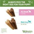 Whimzees Daily Use Pack Puppy Dental Treats for Dogs, Extra Small