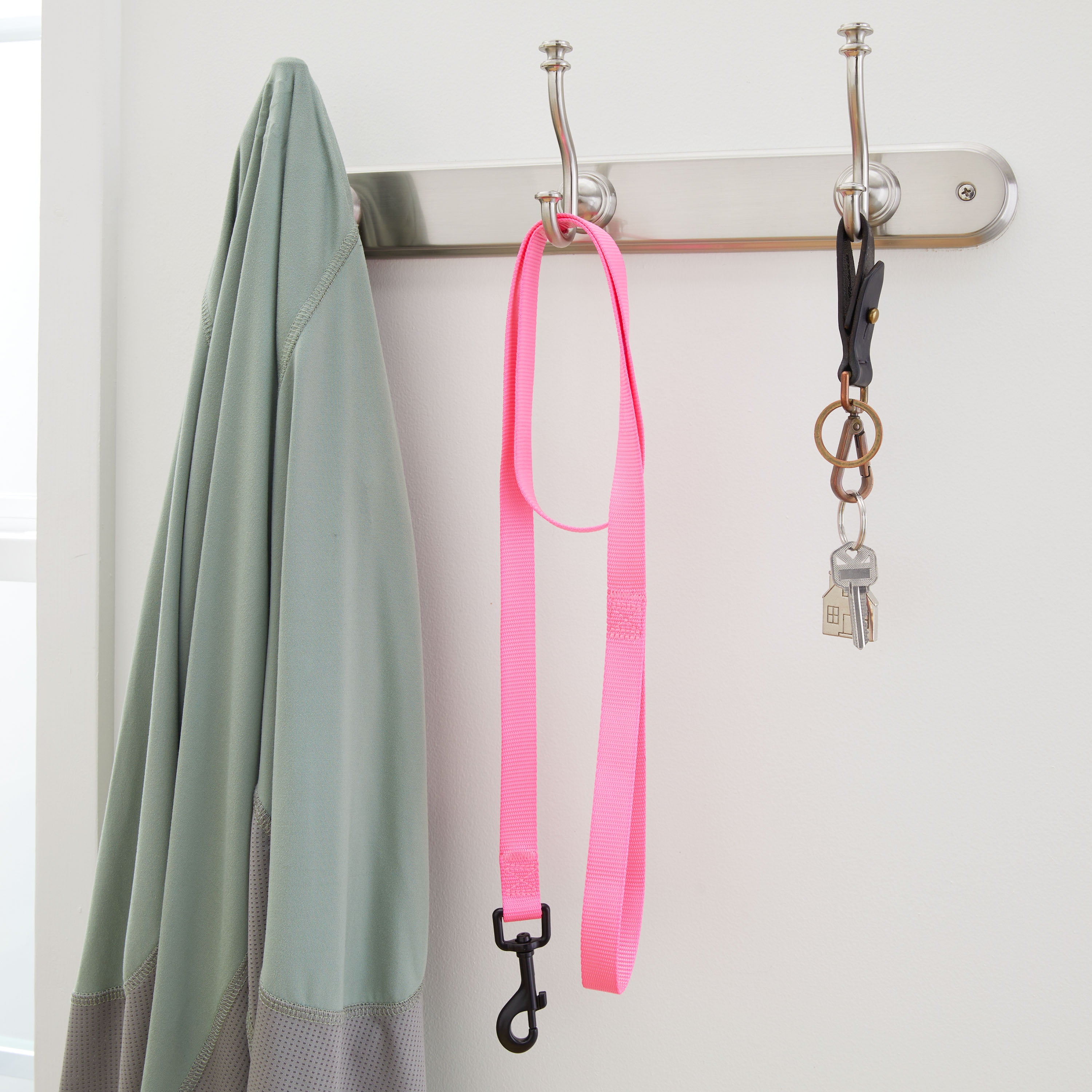 Vibrant Life 6 ft Solid Polyester Leash, Pink, Large