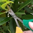 thumbnail image 4 of Garden Bud Trimming Leaf Snips Scissors Straight Razor HYDROPONICS Sharp, 4 of 7