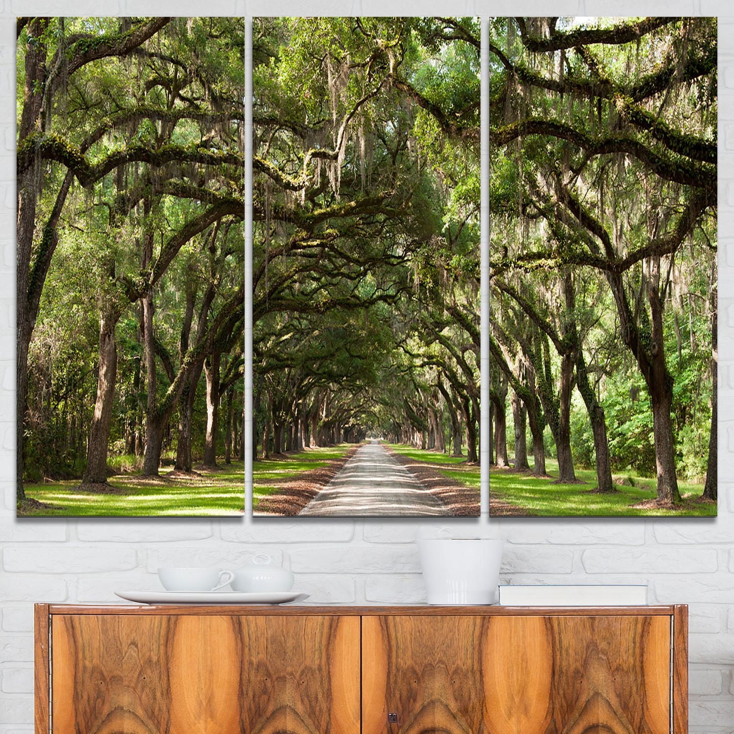 Design Art Live Oak Tunnel Photography Canvas Art Print