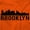 Orange, variant on Brooklyn NYC Skyline New York City NY Unisex Plus Fleece Graphic Hoodie Brisco Brands 2X