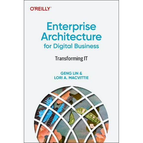 Enterprise Architecture for Digital Business: Transforming It (Paperback)