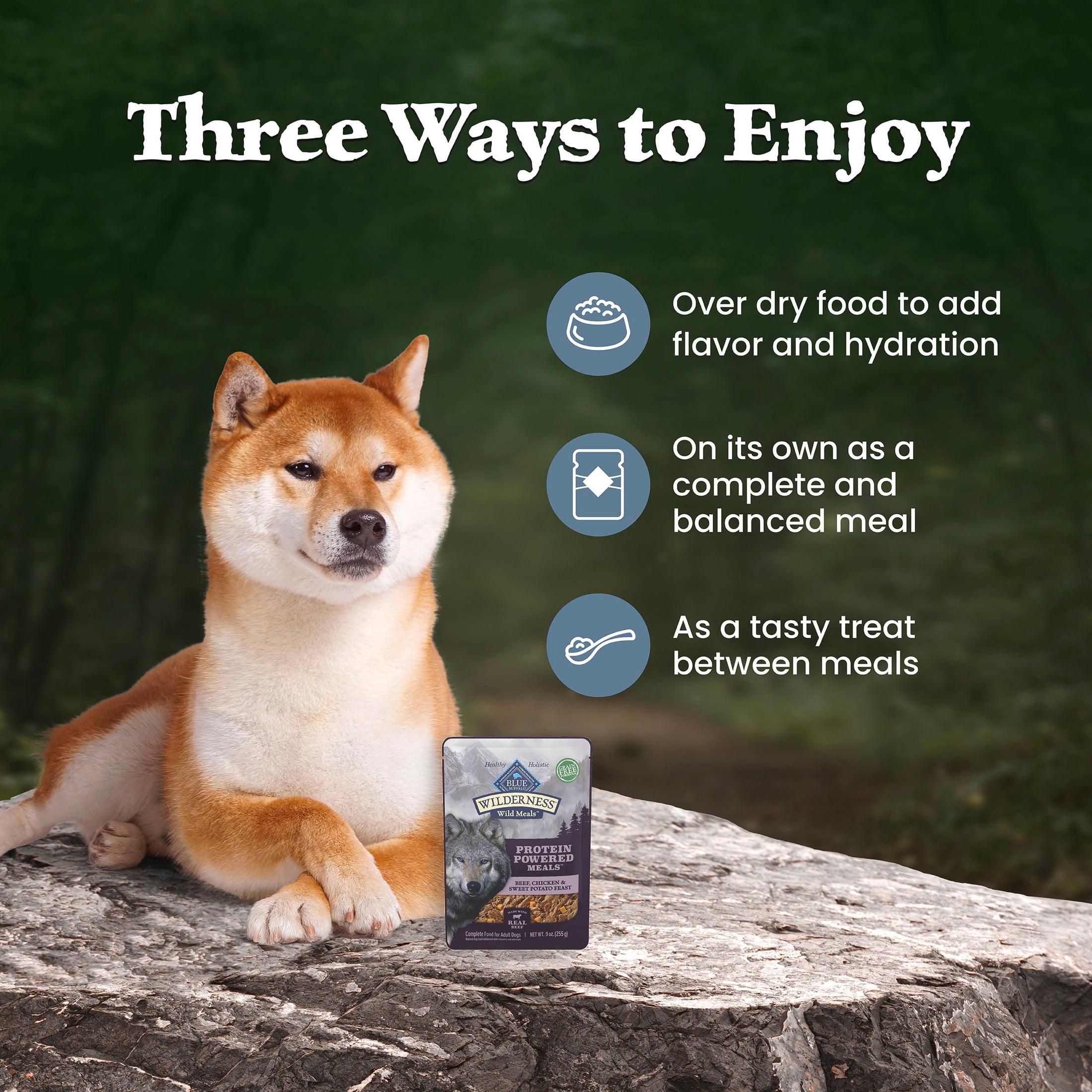 Blue Buffalo Wilderness Wild Meals High-Protein Adult Wet Dog Food, Beef, 9 oz.