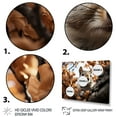 thumbnail image 3 of Designart "Squirrels Antics Grey Squirrel" Animals Floater Framed Canvas Print, 3 of 7