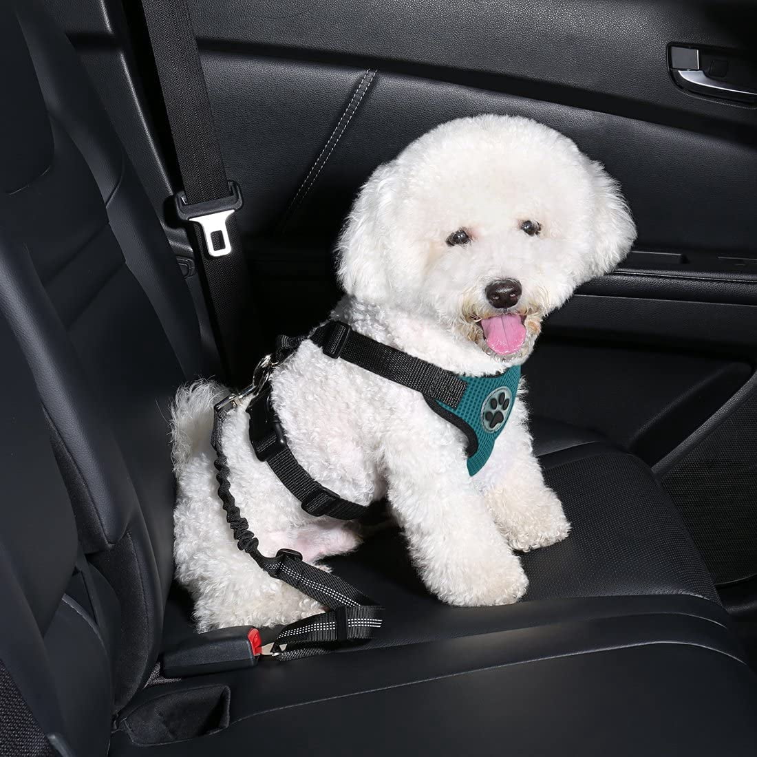 dog car strap
