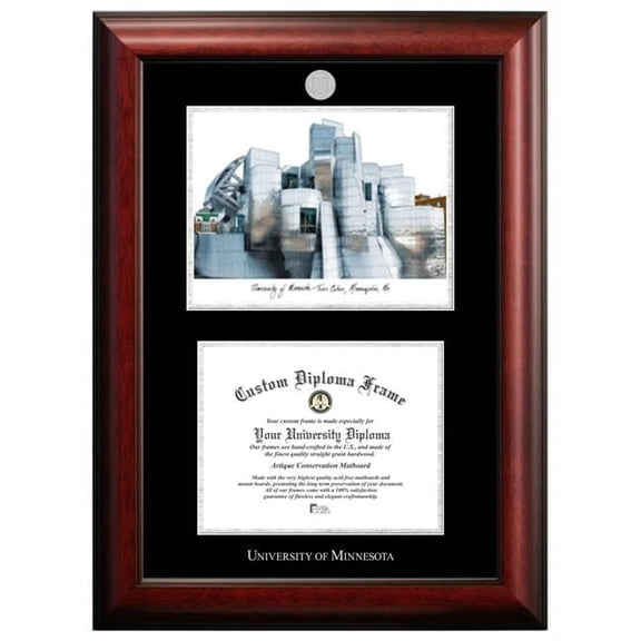 Campus Images MN998LSED-1185 11 x 8.5 in. St. Cloud State University Silver Embossed Diploma Frame with Lithograph