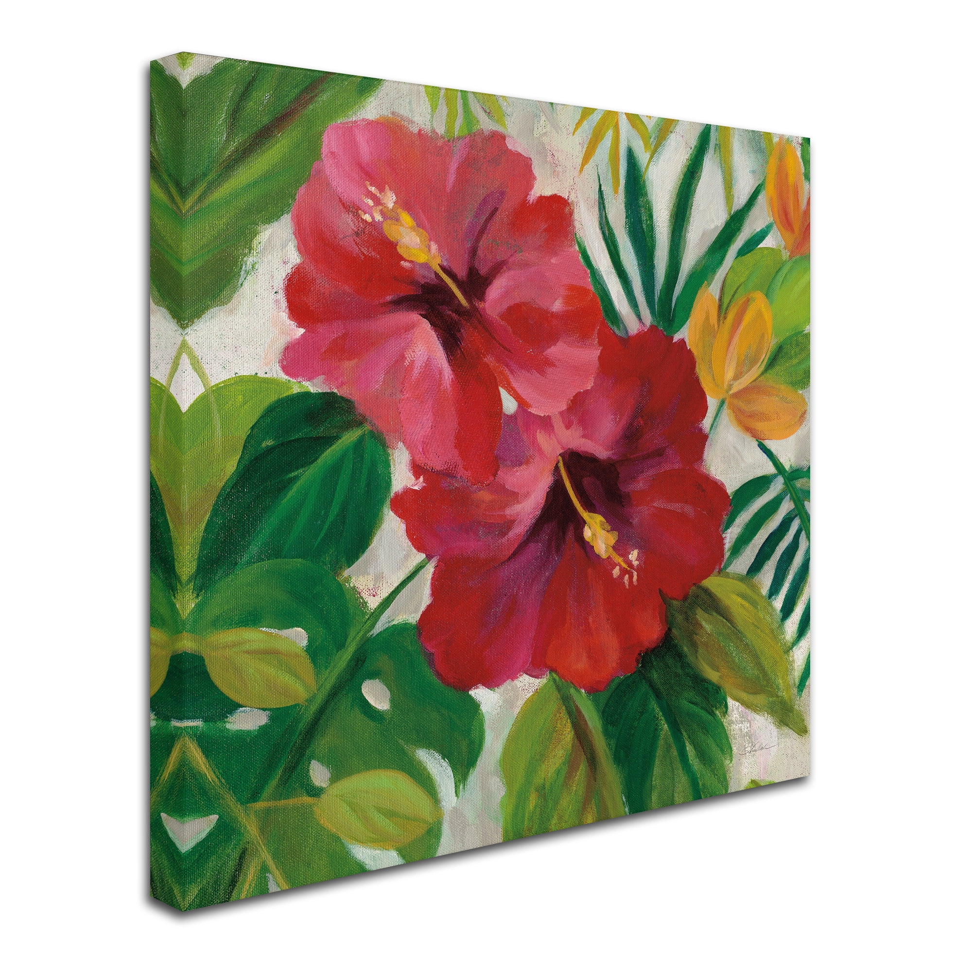 Trademark Fine Art 'Tropical Jewels I v2 Crop' Canvas Art by Silvia Vassileva