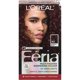 thumbnail image 1 of Tinte para el cabello L'Oreal Paris Feria 42 Burgundy Blush, 1 kit, 1 of 6