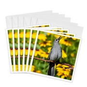 3dRose, Gray Catbird singing in a garden with Black-eyed Susan Marion Co. IL, 6 Greeting Cards with envelopes