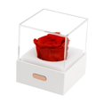 thumbnail image 4 of Flores eternas LED, lámpara de escritorio de flores preservadas, luz nocturna para el día de San Valentín Rojo Yuyangstore Luces de flores preservadas, 4 of 8