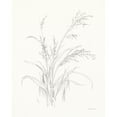 thumbnail image 3 of Nai, Danhui 15x18 Black Modern Framed Museum Art Print Titled - Nature Sketchbook V, 3 of 5