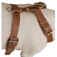 thumbnail image 2 of Dogs My Love Genuine Leather Dog Harness | Medium/Large | Adjustable 25-32 Inch Chest | Brown Pulling Harness 2 of 2