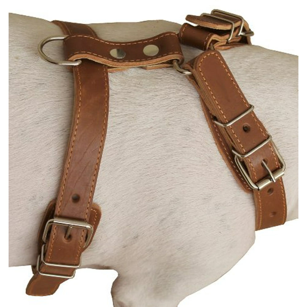 Genuine Leather Dog Harness, 25"30" Chest, 1" Wide Adjustable Straps
