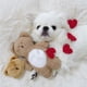 thumbnail image 4 of Juguete para perro Ticfox Oso de Peluche Chirriante, 4 of 10