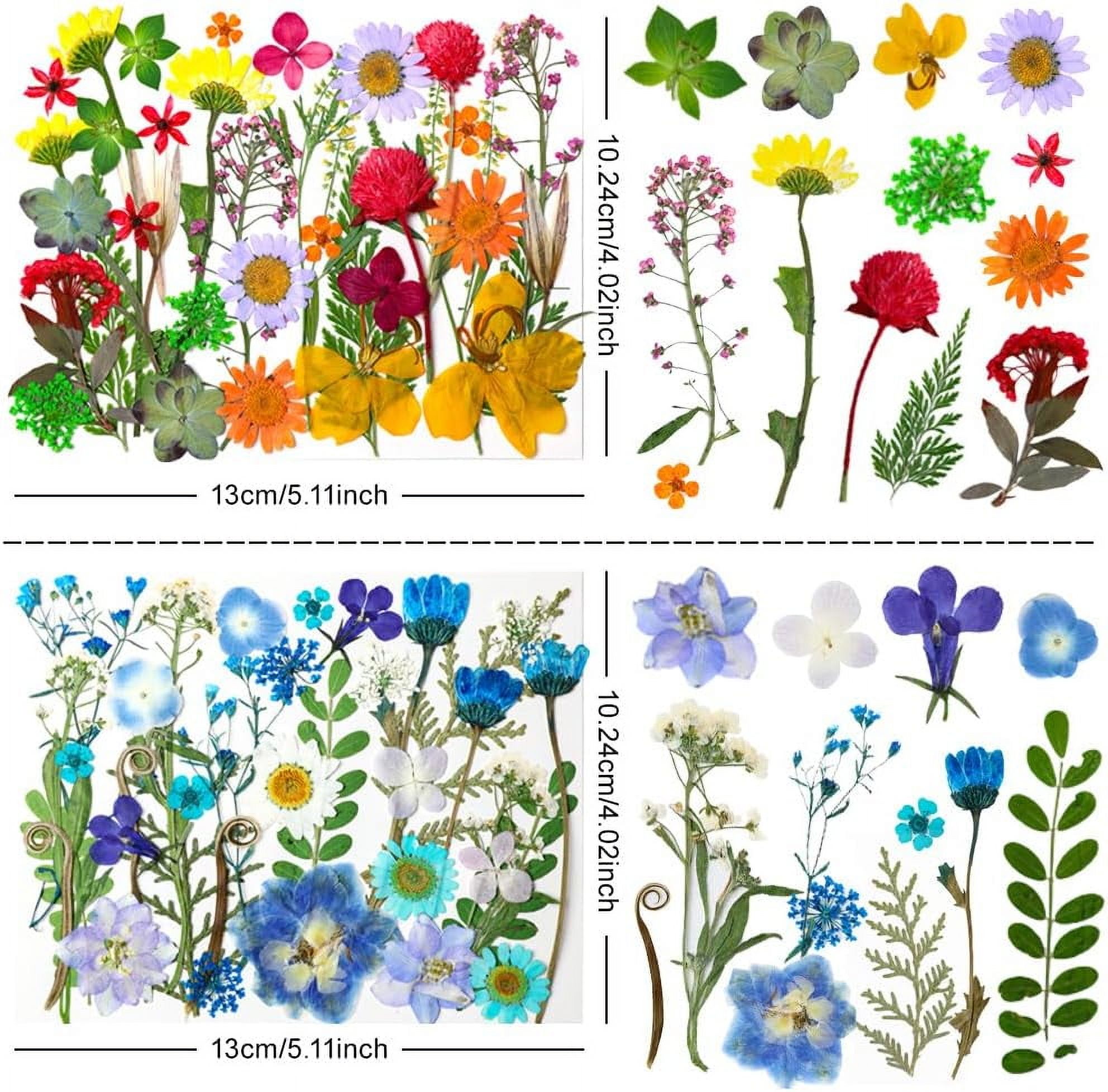 MetalM -140Pcs Dried Pressed Flowers,Natural Dried Flowers Bulk with Dried Leaves for Resin,Mixed Color Dried Flowers for DIY Crafts,Epoxy Resin,Candle Making,Jewelry,Floral DIY Art,DIY Supplies Kits