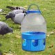 thumbnail image 5 of Comedero y bebedero para pájaros, resistente y práctico dispensador de agua para mascotas. 8l, 5 of 8