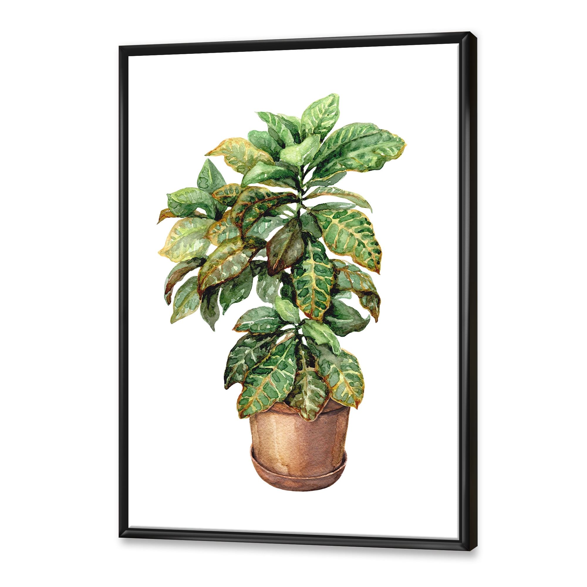 Designart 'Green Croton In Clay Flowerpot' Traditional Framed Canvas Wall Art Print