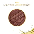 thumbnail image 4 of Clairol Liquicolor 4RV/64R Light Red Violet Brown, 2 oz - (Pack of 3), 4 of 7