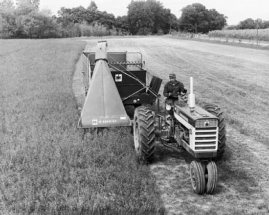 Farmer Harvesting A