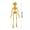 L, variant on WEGFTDUOP Halloween Decoration Printed Skeleton Human Joints Movable Children Halloween Toys Fridge Magnets Halloween Indoor Outdoor Decoration