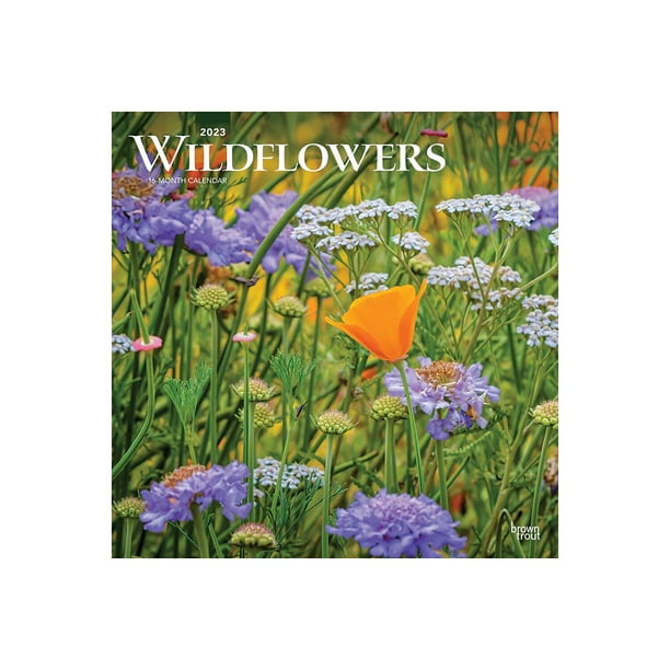 2023 BrownTrout Wildflowers 12"" x 12"" Monthly Wall Calendar