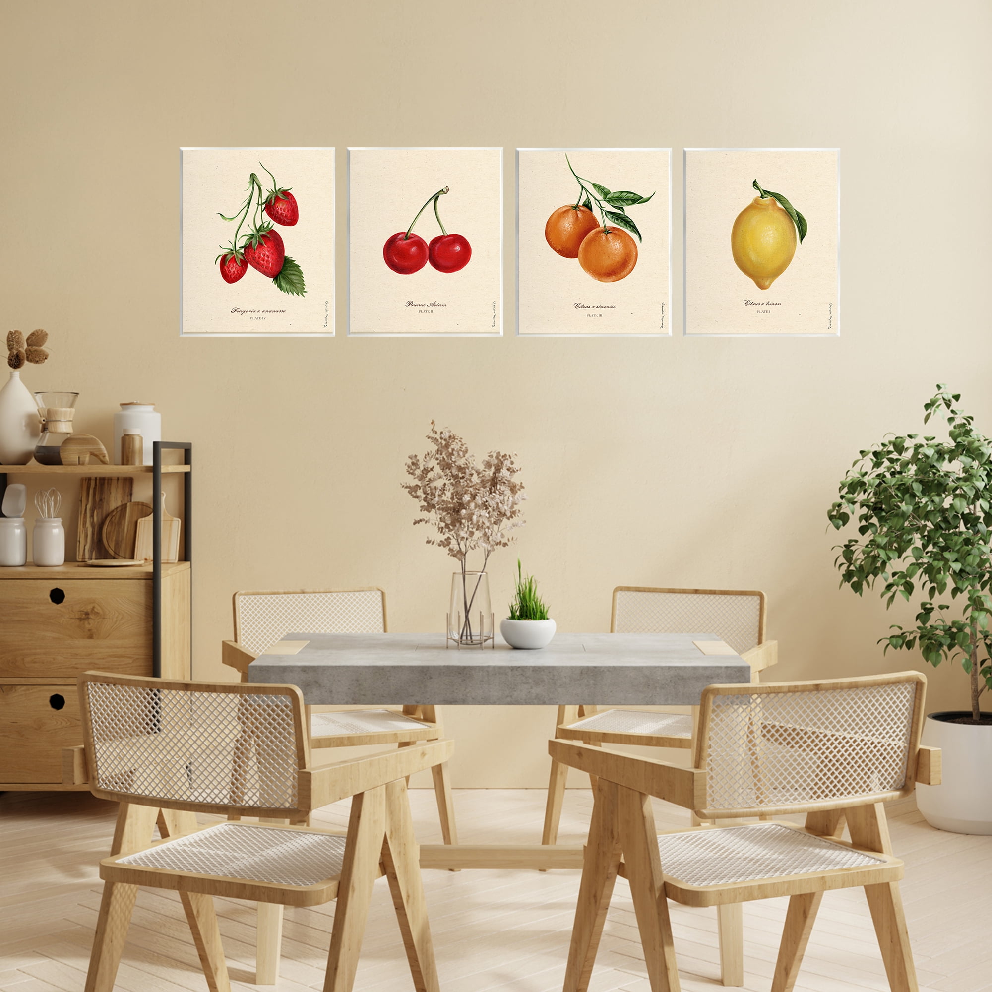 Stupell Industries Vintage Fruit Portraits 4 Piece Wall Plaque Art Set, design by Danielle Murray