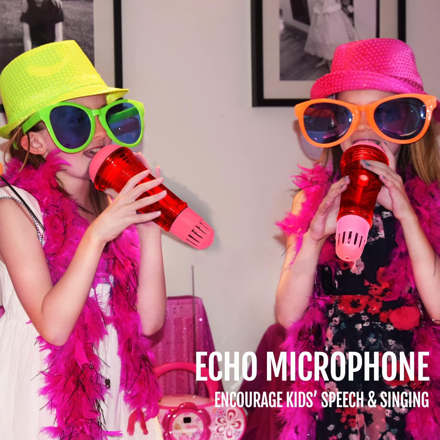 Novelty Place Echo Mic Magic Karaoke Microphone for Kids photo 2