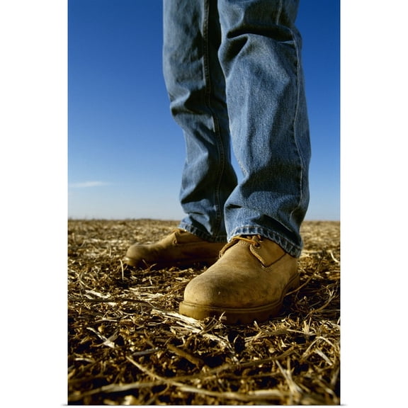 Great BIG Canvas | "Closeup of farmer's boots standing in the stubble of his harvested soybean, Iowa" Art Print - 32x48