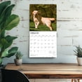 thumbnail image 5 of Yellow Labrador Retrievers | 2026 12x24" (Hanging) Wall Calendar | BrownTrout, 5 of 9