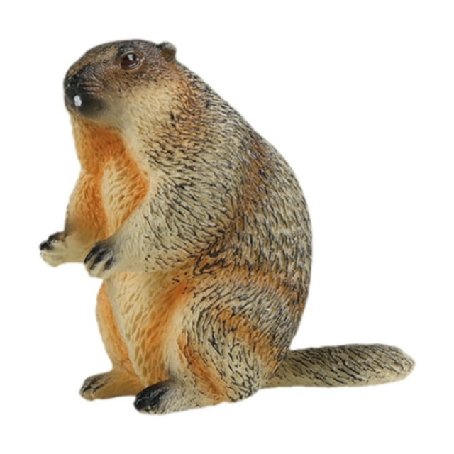 Modelo de Marmota Figura de Juego de Animales Modelo de Juego Realista para El Hogar Artesanía de Educativas Tempranas para Niños Niñas Niñas de pie