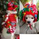 thumbnail image 5 of Vestido de año nuevo, vestido para mascotas, ropa para perros y gatos, ropa para perros, ropa de otoño e invierno, suministros para festivales, chaleco cálido para perros de Navidad, 5 of 5
