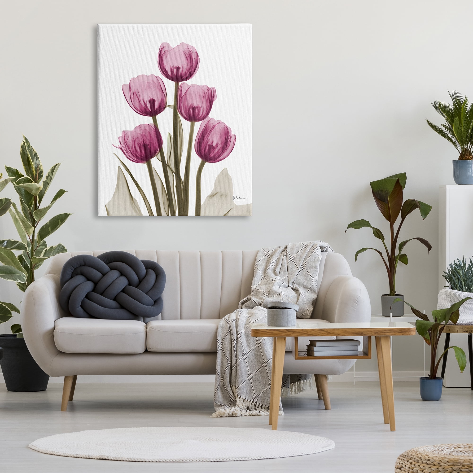Stupell Industries Pink X-Ray Tulips Botanical & Floral Photography Gallery Wrapped Canvas Print Wall Art, 36 x 48