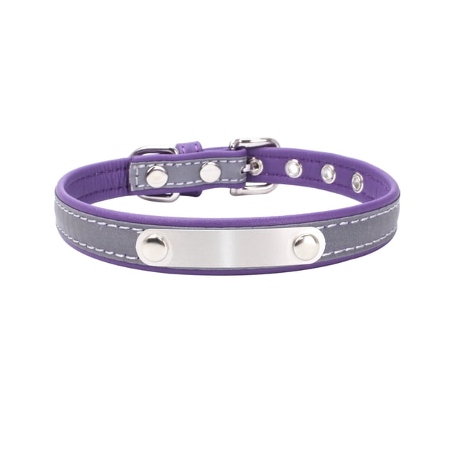 Collier pour Chien Laisse pour Chien Plaque en Acier Inoxydable Réfléchissante Lettrage Collier Lumineux pour Animal Violet