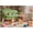 500 PCS, variant on 500 Piece Jigsaw Puzzle, Cute Playful Kittens in Living Room Scene, Perfect Family Game Night Home Wall Decor Ideal Gift for Adults Seniors, 20.5" x 15"