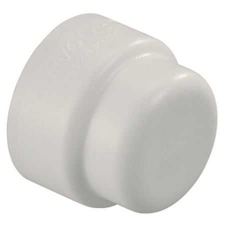 

34780 0.75 in. PVC Lock End Cap