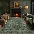 thumbnail image 3 of BERTHMEER 6'x9' Washable Area Rugs for Living Room Vintage Green Bedroom Kitchen Rugs Non Slip Carpets Office Farmhouse Dorm Dining Room Oriental Traditional Distressed Rugs, 3 of 8
