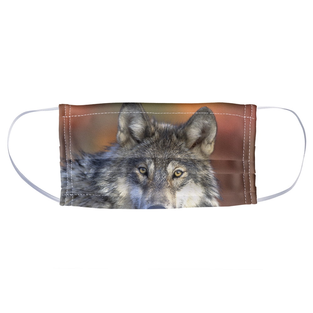 Face Scarf Bandanas Casual Headwear Seamless Neck Gaiter Fire and Ice Wolf for Women/Men