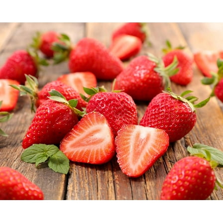 Farmer's Daughter Strawberry Plants - Grow Giant Strawberries - Bare Root Plants (25 Plants)