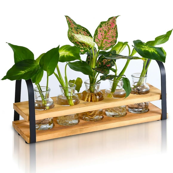 VIKEYHOME Plant Propagation Station with Wood Stand, Desktop Terrarium for Hydroponic, Flower Vase for Home, Kitchen, Office Decor, Plants L