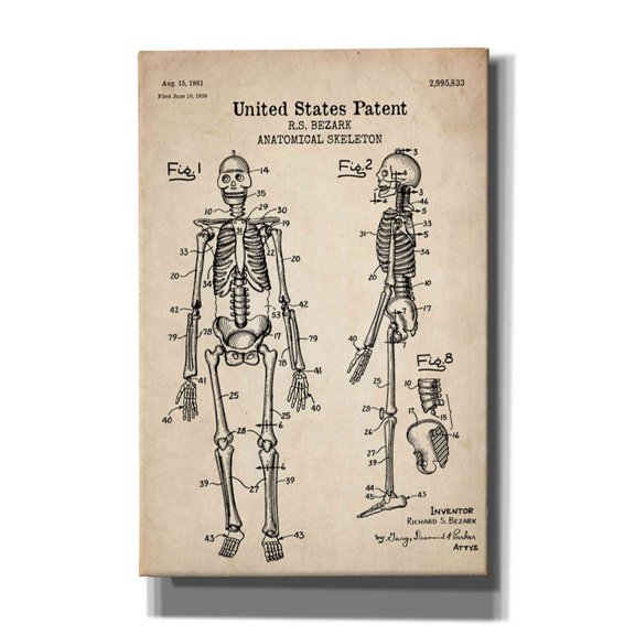 Epic Graffiti "Anatomical Skeleton Blueprint Patent Parchment" Giclee Canvas Wall Art, 12"x18"
