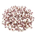 thumbnail image 6 of Funtasty Coconut Drops Filled Hard Candy, Individually Wrapped, Bulk Pack 2 Pound Bag, 6 of 7