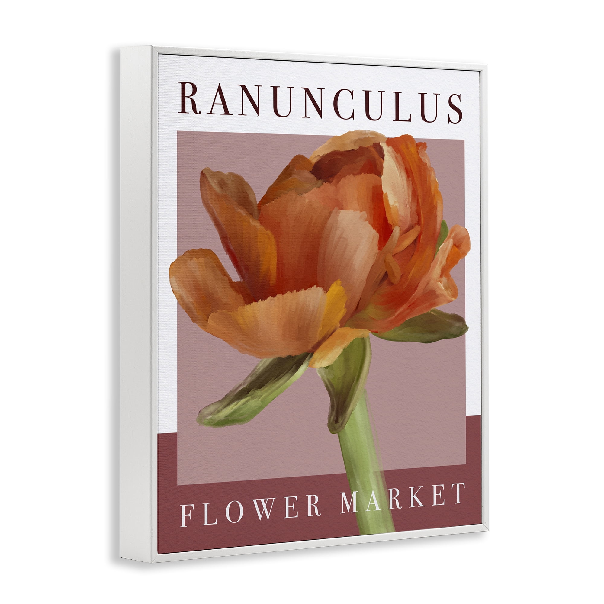 Stupell Industries Ranunculus Flower Market White Framed Giclee Art, design by Jennifer Stith